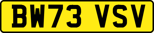 BW73VSV