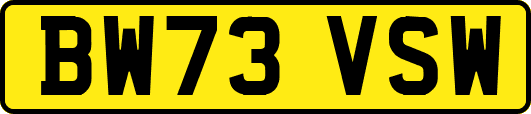 BW73VSW