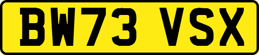 BW73VSX