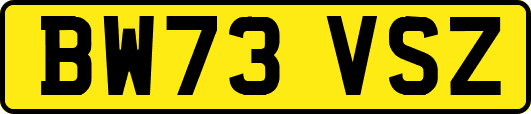 BW73VSZ