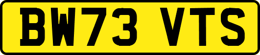 BW73VTS