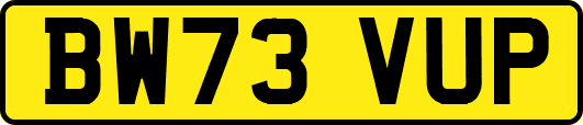 BW73VUP