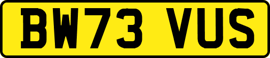 BW73VUS