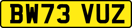 BW73VUZ