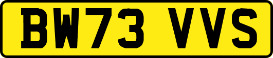 BW73VVS