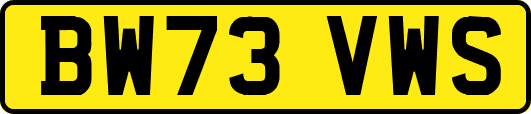 BW73VWS