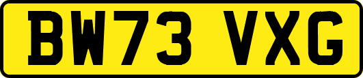 BW73VXG