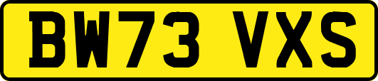 BW73VXS