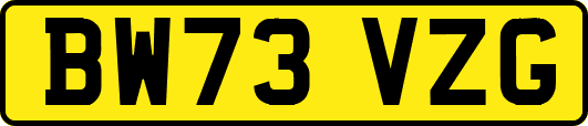 BW73VZG