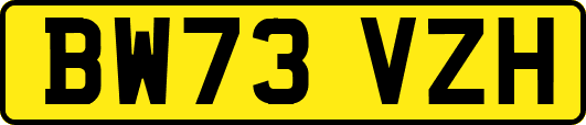 BW73VZH