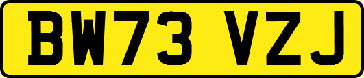 BW73VZJ