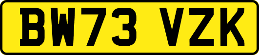 BW73VZK
