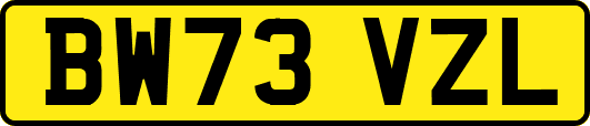 BW73VZL