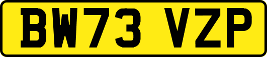 BW73VZP