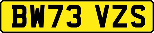 BW73VZS