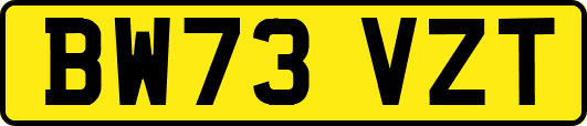 BW73VZT