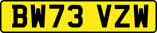 BW73VZW
