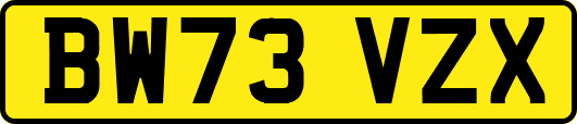 BW73VZX