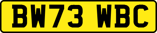 BW73WBC