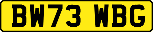 BW73WBG
