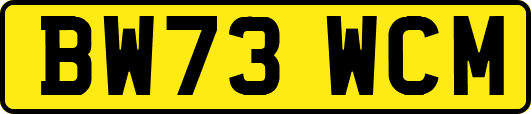 BW73WCM