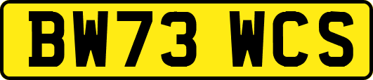 BW73WCS
