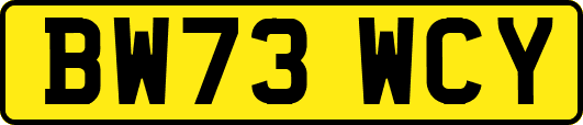 BW73WCY