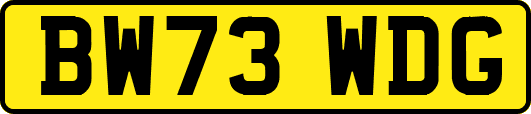 BW73WDG