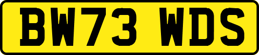 BW73WDS