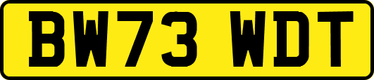 BW73WDT