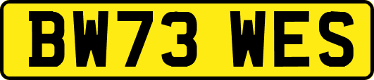 BW73WES