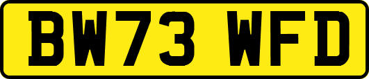 BW73WFD