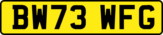 BW73WFG