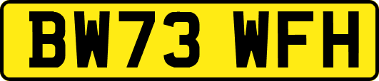 BW73WFH