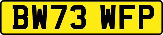 BW73WFP