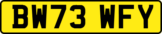 BW73WFY