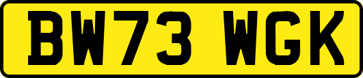 BW73WGK