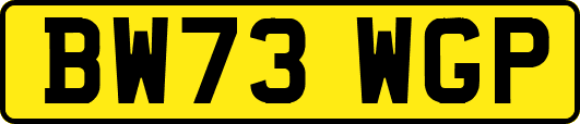 BW73WGP