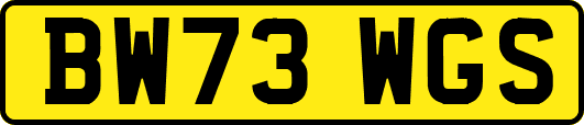 BW73WGS