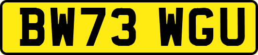 BW73WGU