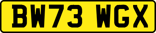 BW73WGX
