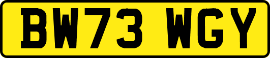 BW73WGY