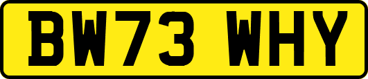 BW73WHY