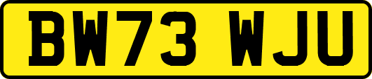 BW73WJU