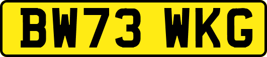 BW73WKG