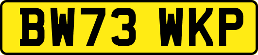 BW73WKP