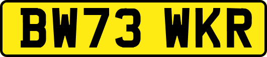 BW73WKR