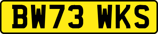 BW73WKS