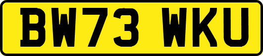 BW73WKU