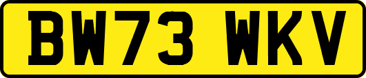 BW73WKV